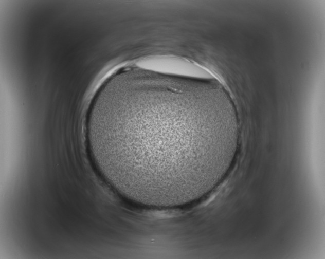 X0000084030103200703092018