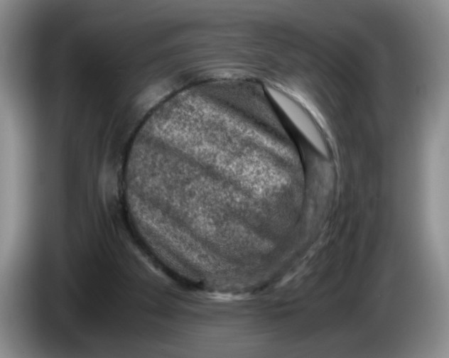 X0000084030105200703092018