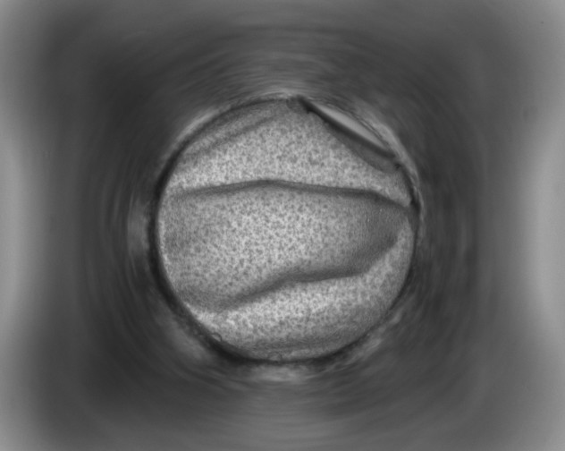 X0000084030106200703092018