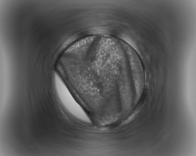 X0000084030109200703092018