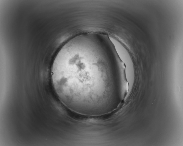 X0000084030111200703092018