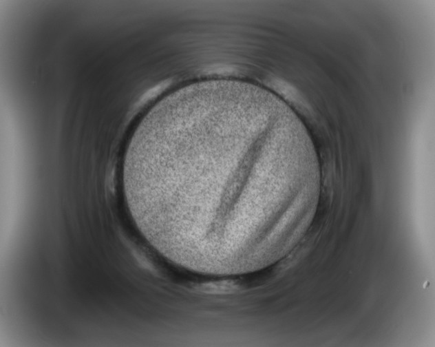 X0000084030112200703092018