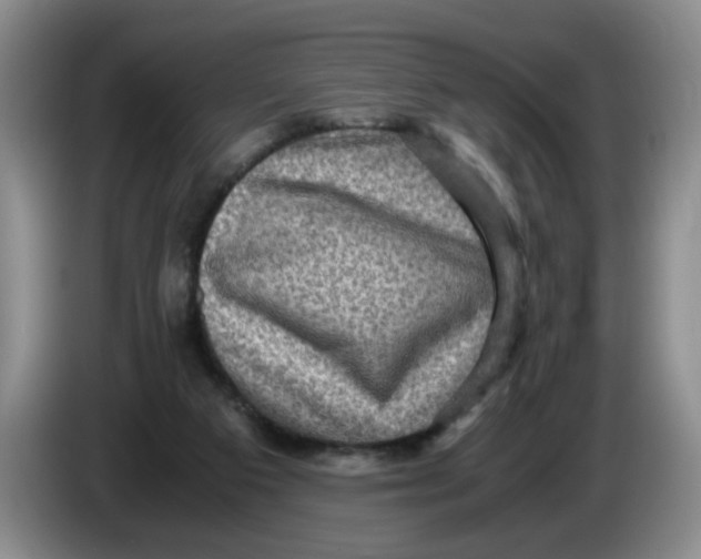 X0000084030113200703092018