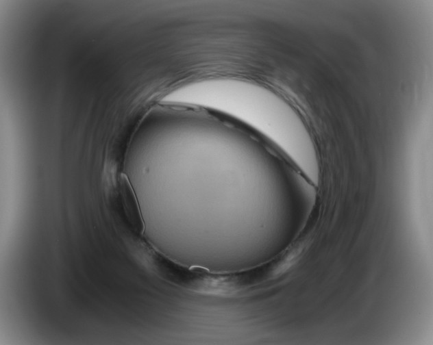 X0000084030117200703092018