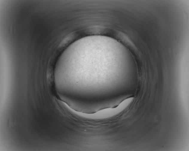 X0000084030119200703092018