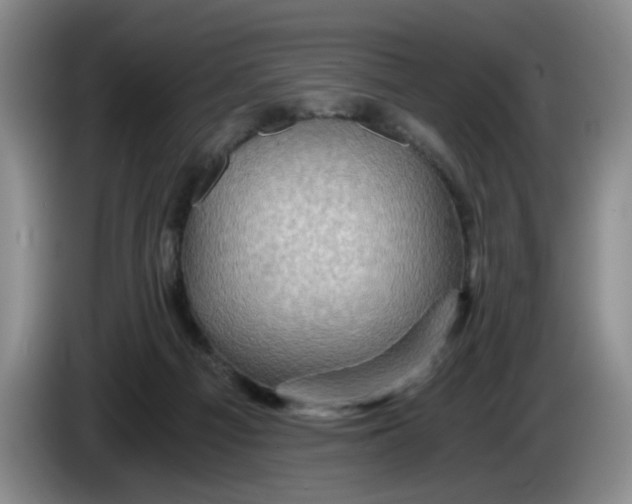 X0000084030121200703092018