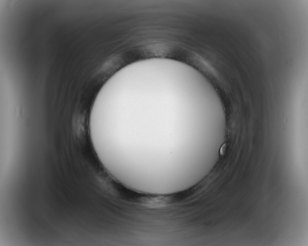 X0000084030122200703092018