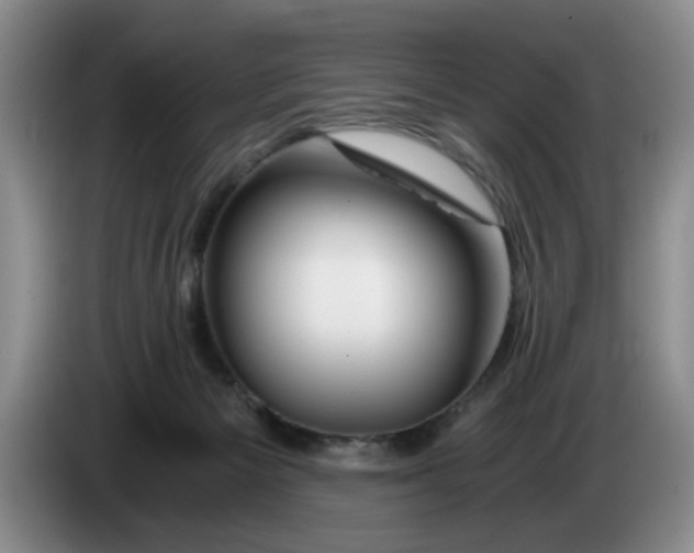 X0000084030125200703092018