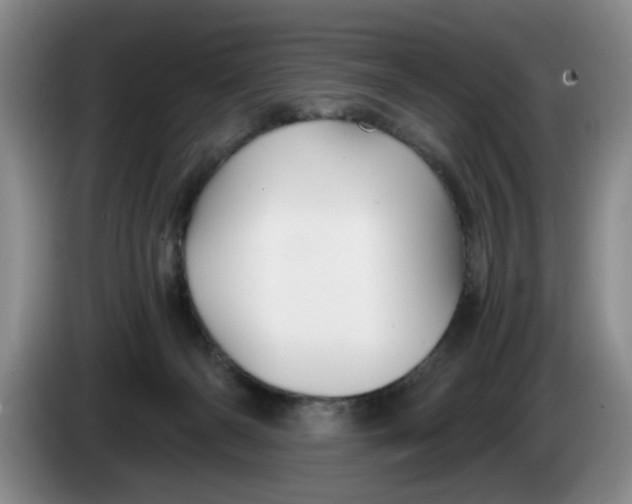 X0000084030126200703092018