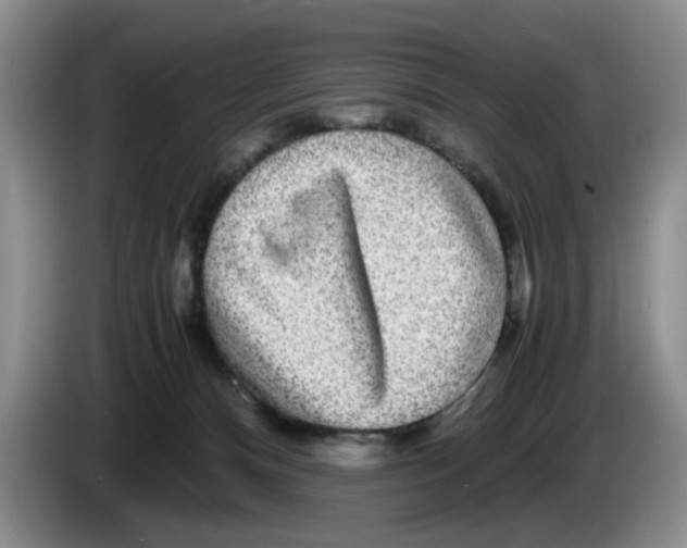 X0000084030128200703092018