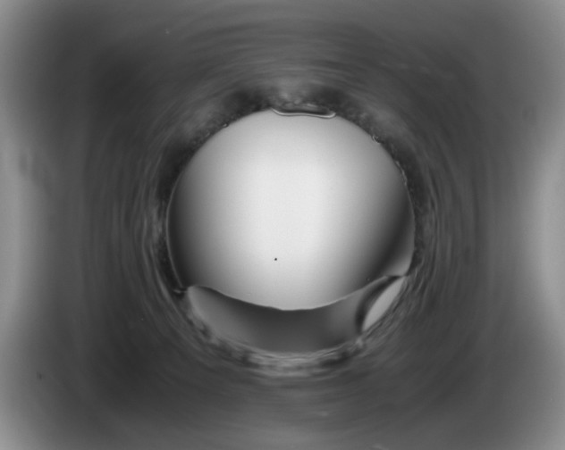 X0000084030129200703092018