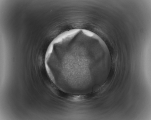 X0000084030130200703092018