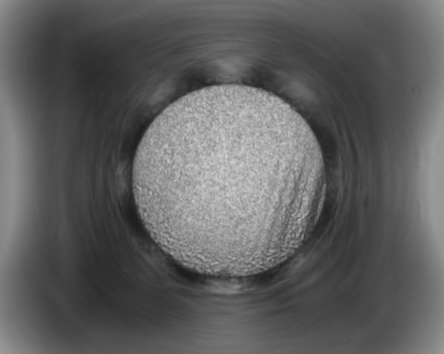 X0000084030131200703092018