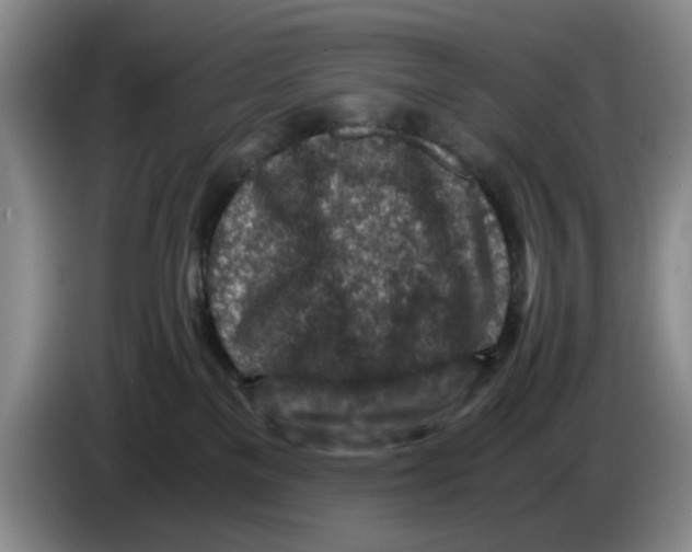 X0000084030137200703092018