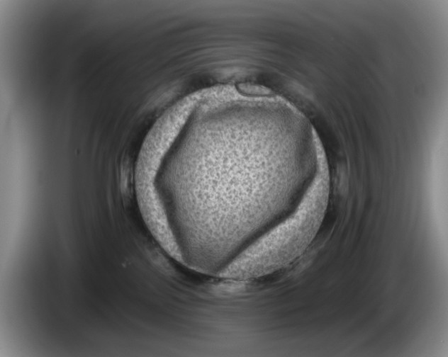 X0000084030138200703092018