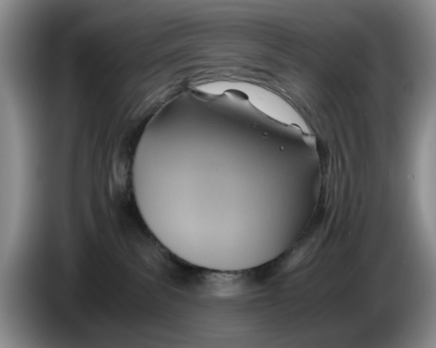 X0000084030139200703092018