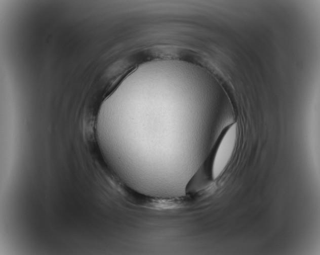 X0000084030141200703092018