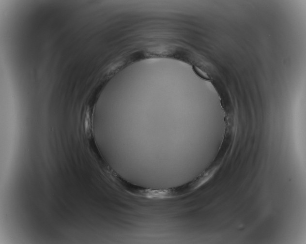 X0000084030143200703092018