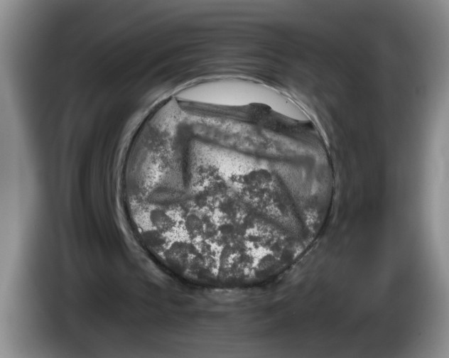 X0000084030145200703092017