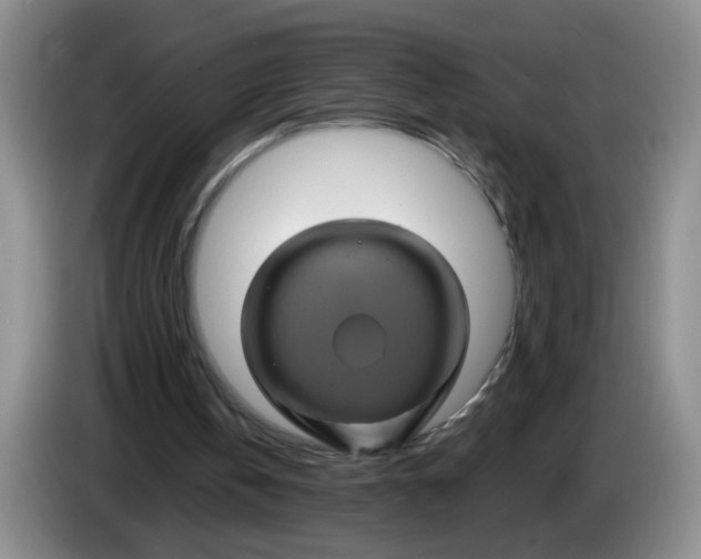 X0000084030146200703092017