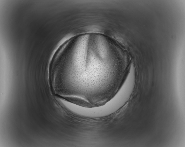 X0000084030148200703092017