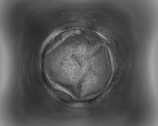 X0000084030149200703092017