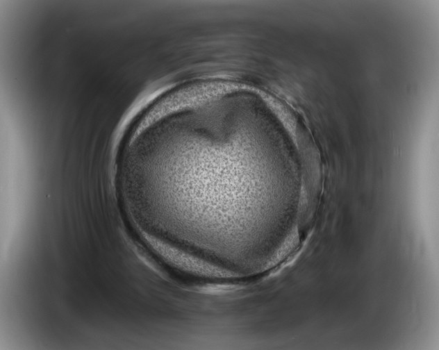 X0000084030150200703092017