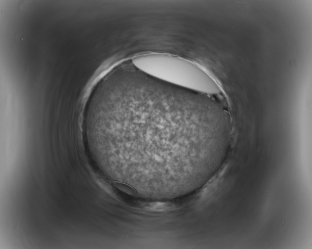 X0000084030151200703092017