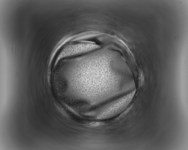 X0000084030152200703092017