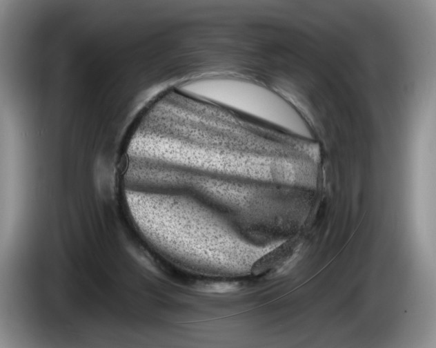 X0000084030156200703092017