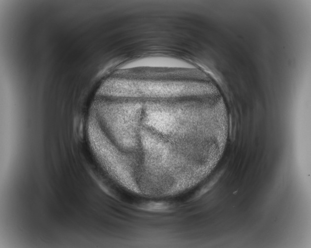 X0000084030157200703092017