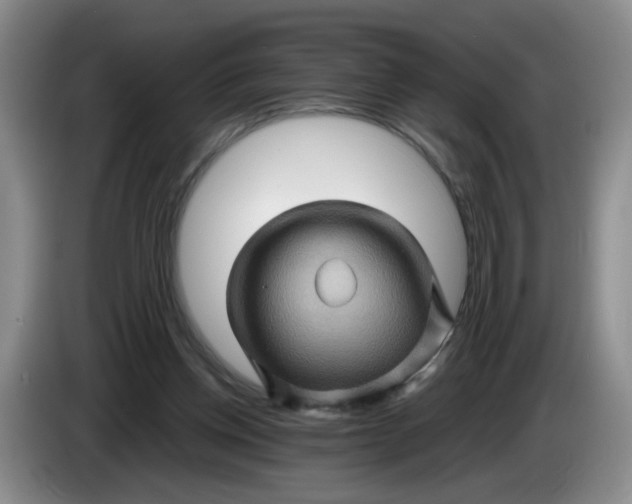 X0000084030158200703092017