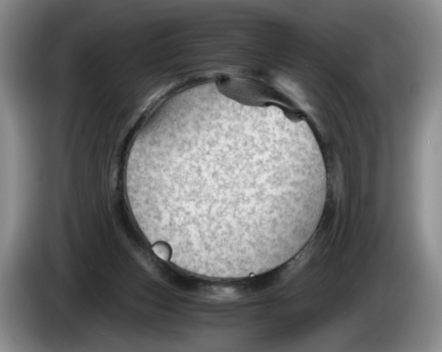 X0000084030159200703092017