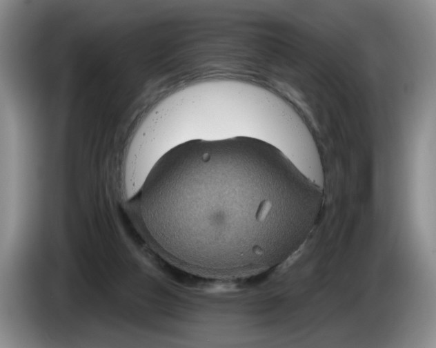 X0000084030162200703092017