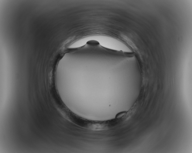 X0000084030163200703092017