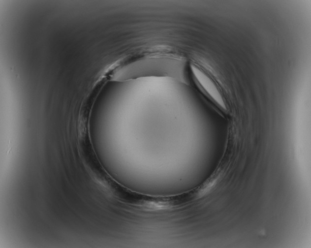 X0000084030164200703092017