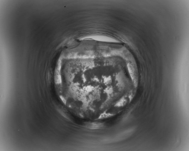 X0000084030165200703092017