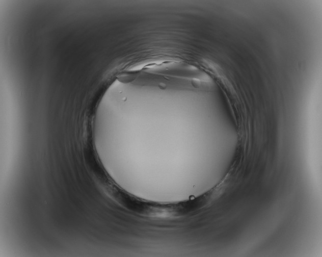 X0000084030167200703092017