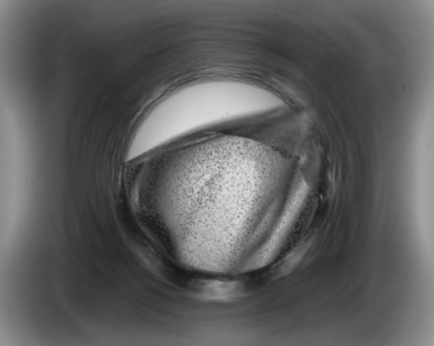 X0000084030168200703092017