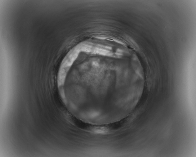 X0000084030169200703092017