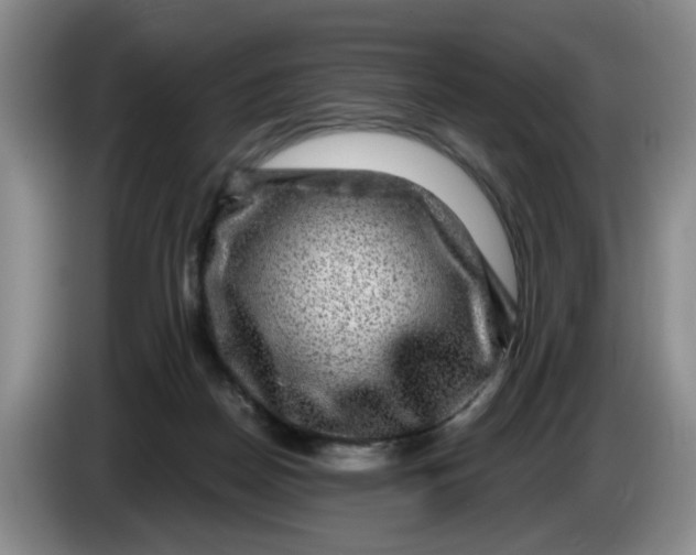 X0000084030170200703092017