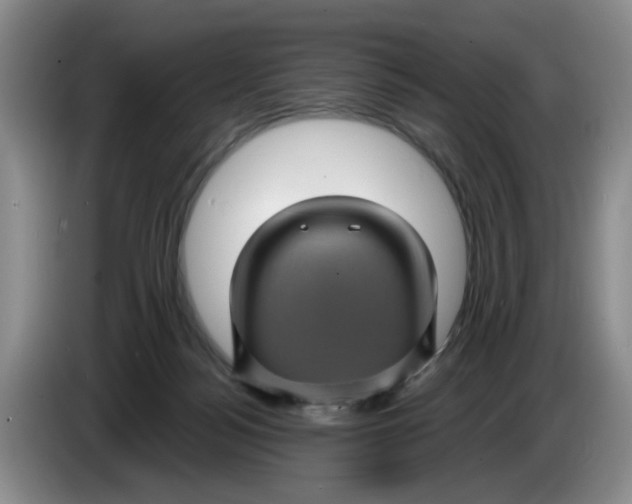 X0000084030172200703092018