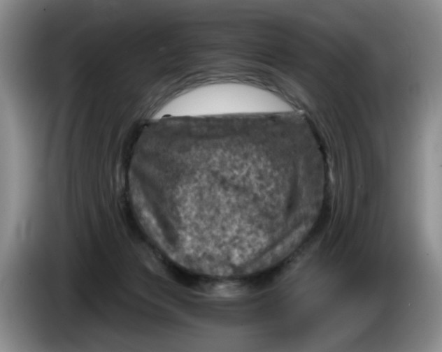 X0000084030173200703092018