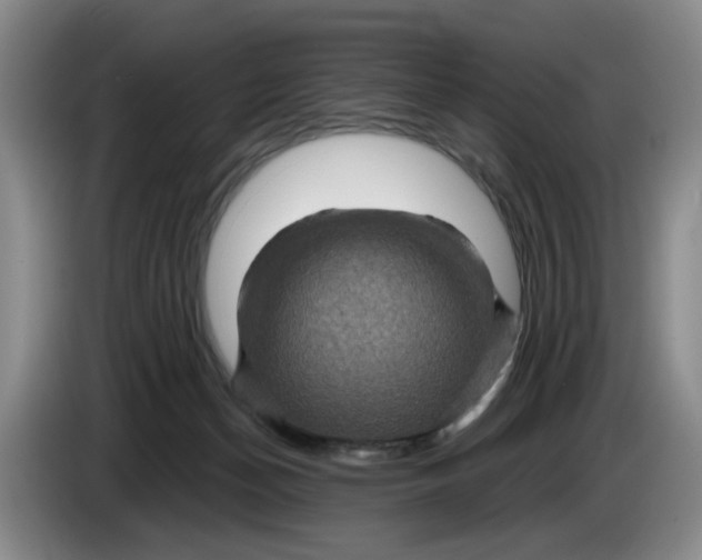 X0000084030174200703092018