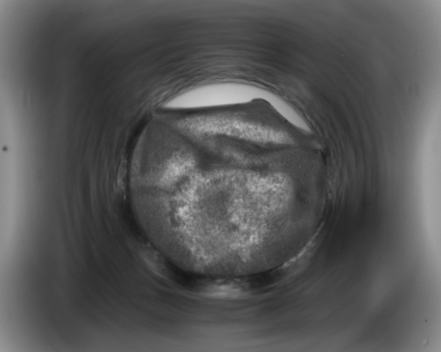 X0000084030175200703092018