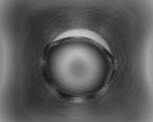 X0000084030176200703092018