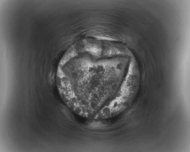 X0000084030177200703092018