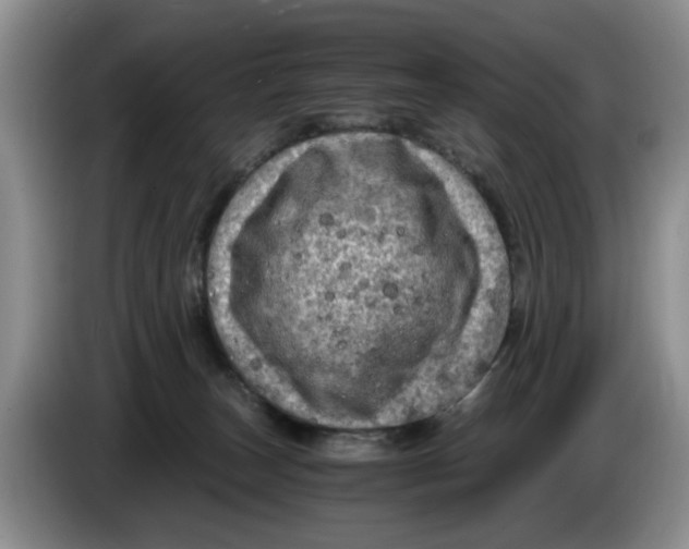 X0000084030179200703092018