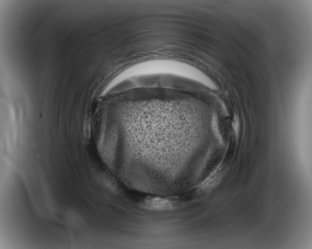 X0000084030180200703092018