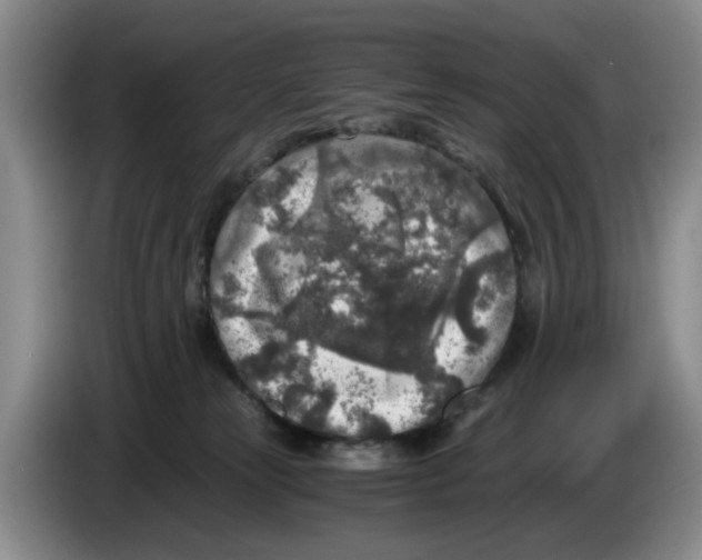 X0000084030181200703092018